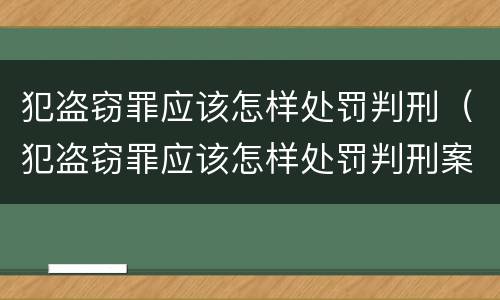 犯盗窃罪应该怎样处罚判刑（犯盗窃罪应该怎样处罚判刑案例）