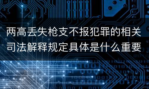 两高丢失枪支不报犯罪的相关司法解释规定具体是什么重要内容