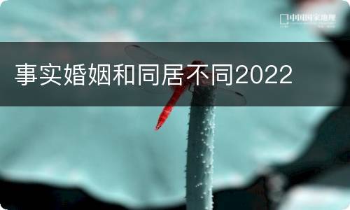 事实婚姻和同居不同2022