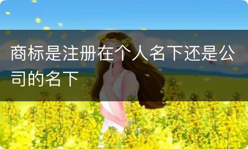 商标是注册在个人名下还是公司的名下