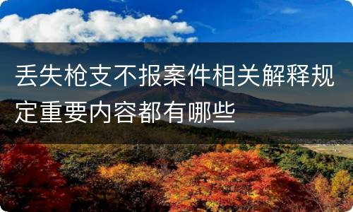 丢失枪支不报案件相关解释规定重要内容都有哪些