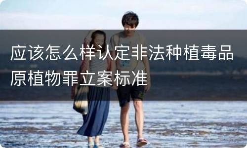 应该怎么样认定非法种植毒品原植物罪立案标准