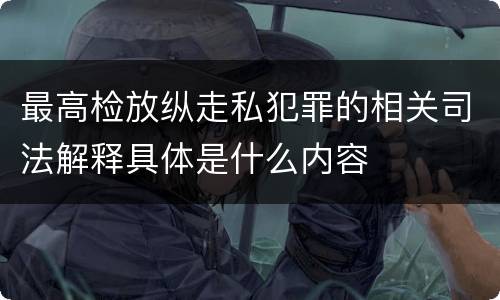 最高检放纵走私犯罪的相关司法解释具体是什么内容