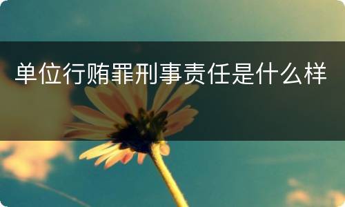 单位行贿罪刑事责任是什么样