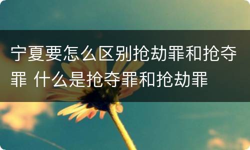 宁夏要怎么区别抢劫罪和抢夺罪 什么是抢夺罪和抢劫罪