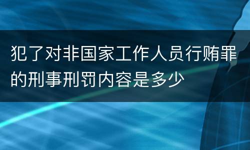 犯了对非国家工作人员行贿罪的刑事刑罚内容是多少