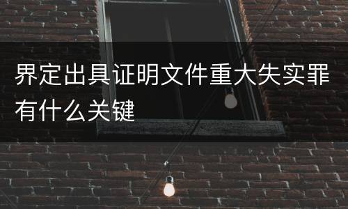 界定出具证明文件重大失实罪有什么关键