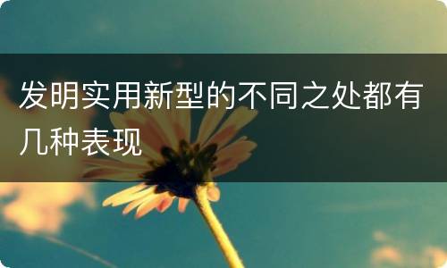 发明实用新型的不同之处都有几种表现