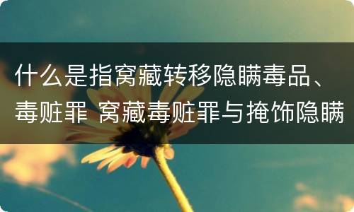 什么是指窝藏转移隐瞒毒品、毒赃罪 窝藏毒赃罪与掩饰隐瞒犯罪所得