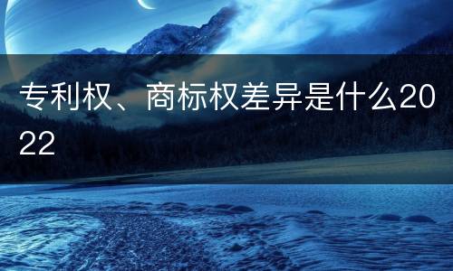 专利权、商标权差异是什么2022