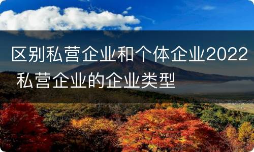 区别私营企业和个体企业2022 私营企业的企业类型