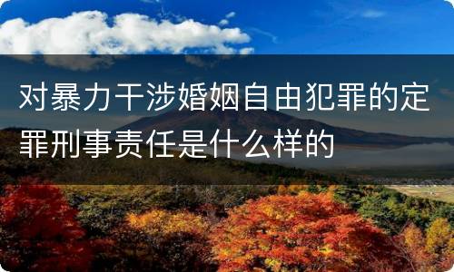 对暴力干涉婚姻自由犯罪的定罪刑事责任是什么样的