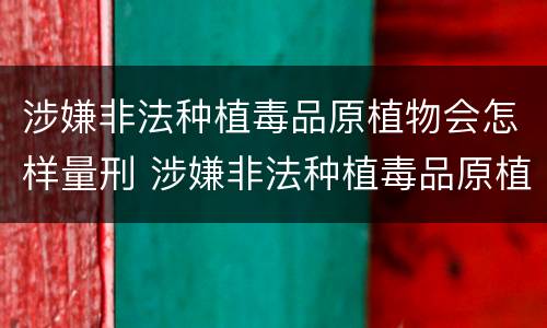 涉嫌非法种植毒品原植物会怎样量刑 涉嫌非法种植毒品原植物罪