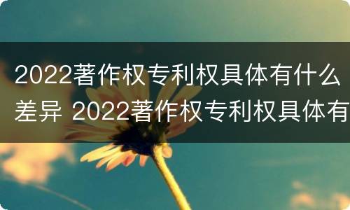 2022著作权专利权具体有什么差异 2022著作权专利权具体有什么差异呢