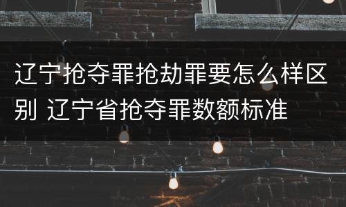 辽宁抢夺罪抢劫罪要怎么样区别 辽宁省抢夺罪数额标准