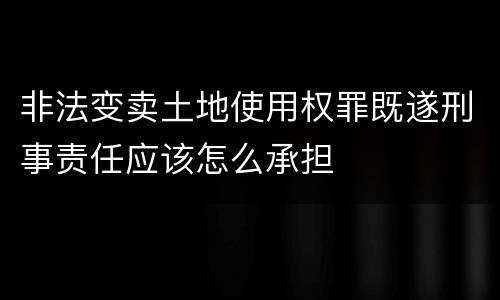 非法变卖土地使用权罪既遂刑事责任应该怎么承担