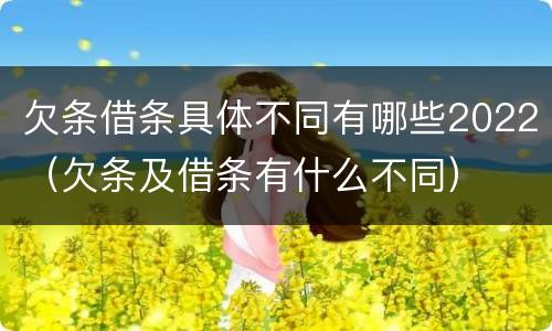 欠条借条具体不同有哪些2022（欠条及借条有什么不同）
