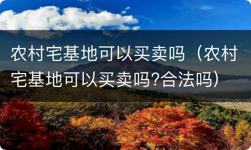 农村宅基地可以买卖吗（农村宅基地可以买卖吗?合法吗）