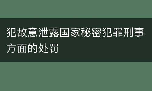 犯故意泄露国家秘密犯罪刑事方面的处罚