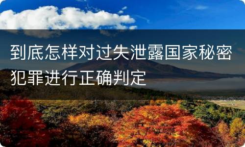 到底怎样对过失泄露国家秘密犯罪进行正确判定