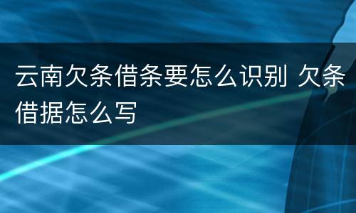 云南欠条借条要怎么识别 欠条借据怎么写
