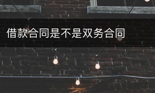 借款合同是不是双务合同