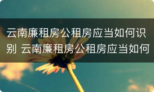 云南廉租房公租房应当如何识别 云南廉租房公租房应当如何识别房源