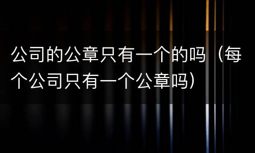 公司的公章只有一个的吗（每个公司只有一个公章吗）