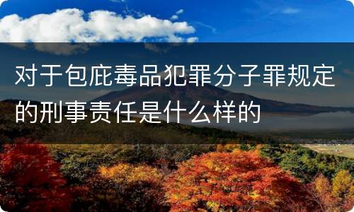 对于包庇毒品犯罪分子罪规定的刑事责任是什么样的