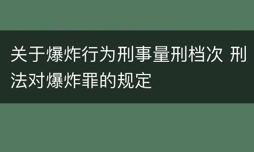 关于爆炸行为刑事量刑档次 刑法对爆炸罪的规定