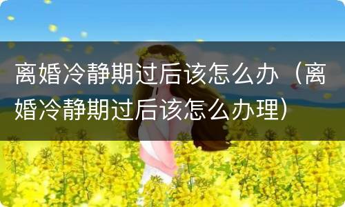 离婚冷静期过后该怎么办（离婚冷静期过后该怎么办理）