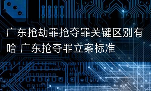 广东抢劫罪抢夺罪关键区别有啥 广东抢夺罪立案标准