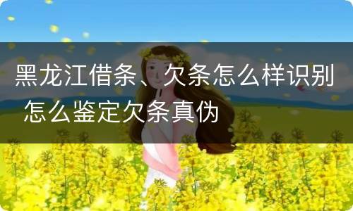 黑龙江借条、欠条怎么样识别 怎么鉴定欠条真伪