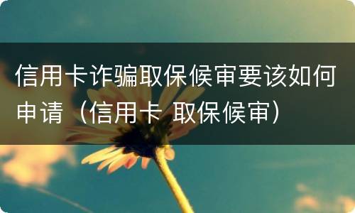 信用卡诈骗取保候审要该如何申请（信用卡 取保候审）