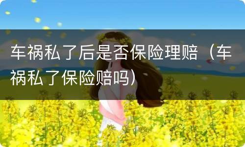 车祸私了后是否保险理赔（车祸私了保险赔吗）