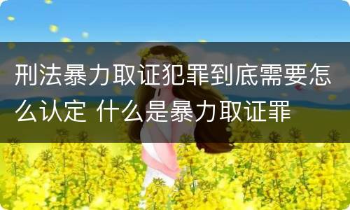 刑法暴力取证犯罪到底需要怎么认定 什么是暴力取证罪