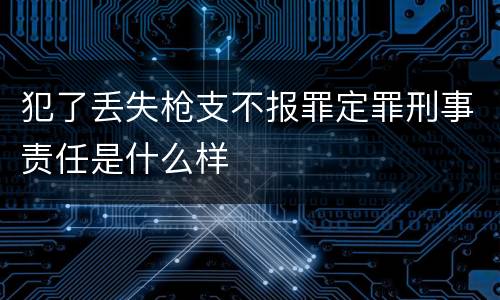 犯了丢失枪支不报罪定罪刑事责任是什么样