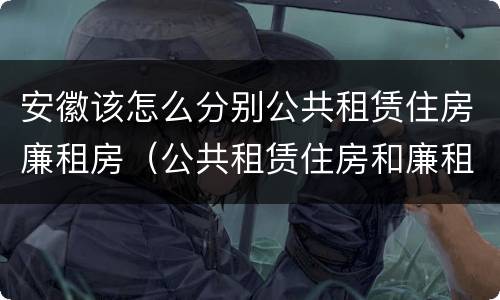 安徽该怎么分别公共租赁住房廉租房（公共租赁住房和廉租房）