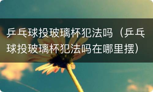 乒乓球投玻璃杯犯法吗（乒乓球投玻璃杯犯法吗在哪里摆）