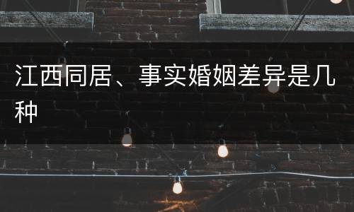 江西同居、事实婚姻差异是几种