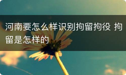 河南要怎么样识别拘留拘役 拘留是怎样的
