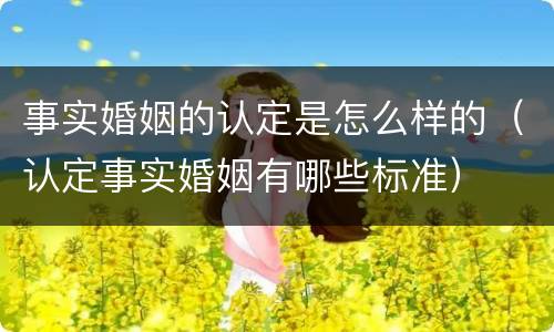 事实婚姻的认定是怎么样的（认定事实婚姻有哪些标准）