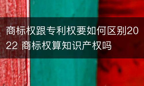 商标权跟专利权要如何区别2022 商标权算知识产权吗