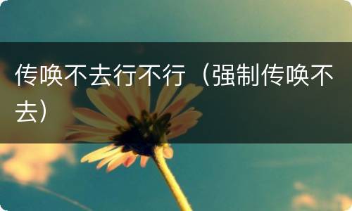 传唤不去行不行（强制传唤不去）