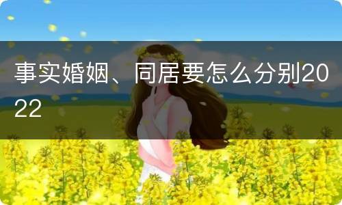 事实婚姻、同居要怎么分别2022