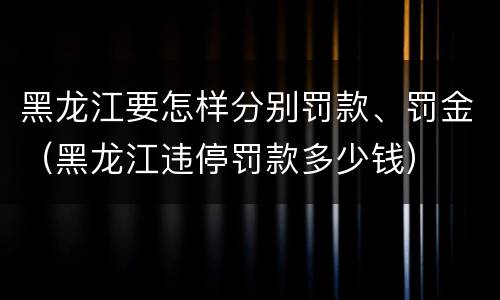 黑龙江要怎样分别罚款、罚金（黑龙江违停罚款多少钱）