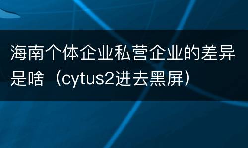 海南个体企业私营企业的差异是啥（cytus2进去黑屏）