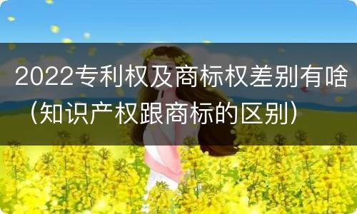 2022专利权及商标权差别有啥（知识产权跟商标的区别）