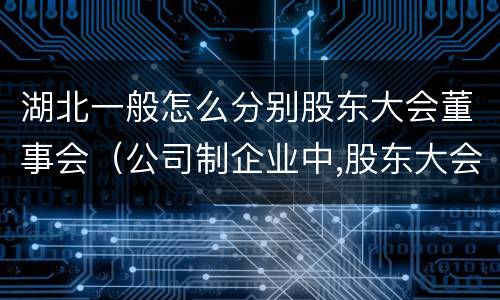 湖北一般怎么分别股东大会董事会（公司制企业中,股东大会于董事会中间的关系是什么）