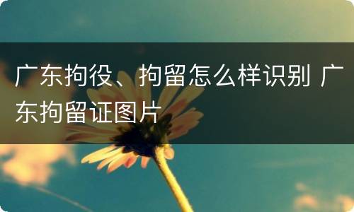 广东拘役、拘留怎么样识别 广东拘留证图片